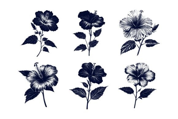 Evaluating the Poppy Flower Illustration Set for Modern Design Workflows