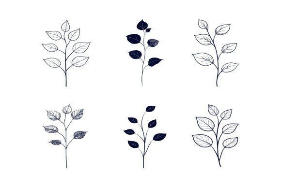 Professional Graphic Assets: The Set of Moringa Leaves Illustration
